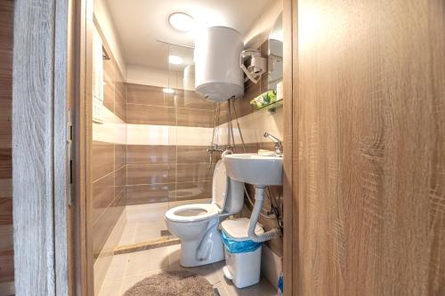 a small bathroom with a toilet and a sink at Studio apartment Dunja in Nikšić