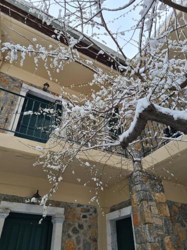 a snow covered tree in front of a house at Αργουλιάς in Tzermiádon