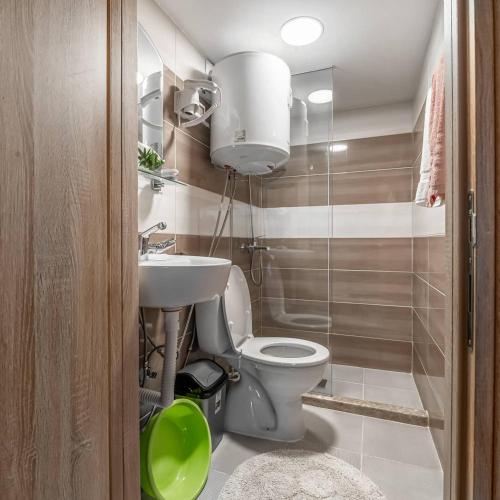 a bathroom with a toilet and a sink at Studio apartment Djole in Nikšić