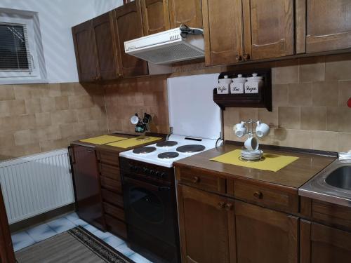 una pequeña cocina con fogones y fregadero en Apartmani Stanikić en Kostol