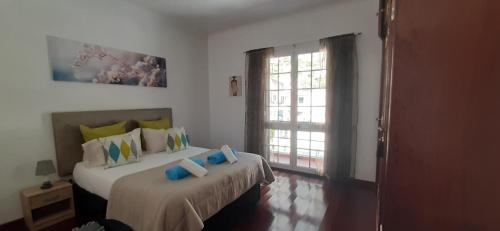 Gallery image of Valley of Nuns Holiday Apartments in Curral das Freiras