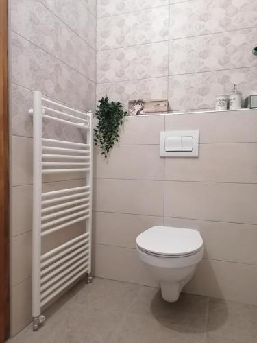 a bathroom with a toilet and a plant on a shelf at Holiday Home Kotulin in Pakoštane