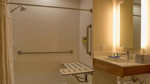 a bathroom with a shower and a sink and a toilet at Holiday Inn Express Hotel & Suites Byram by IHG in Byram