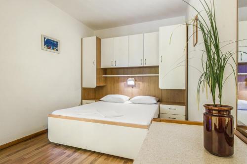 Apartments Konta City center