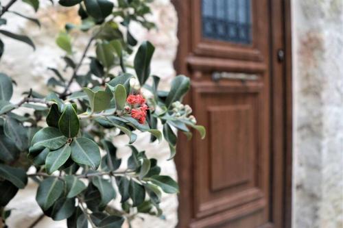 a plant with red flowers next to a wooden door at Malama's maisonette at the historic center in Heraklio