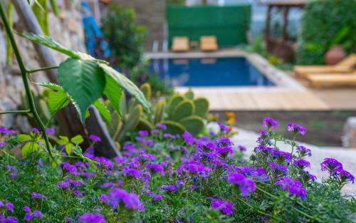Πισίνα στο ή κοντά στο Villa Jasmin Selimiye -with pool Daily Weekly Rentals