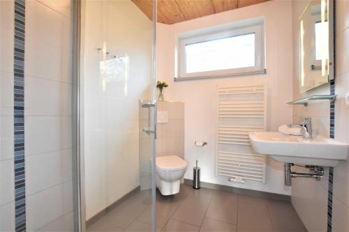 a bathroom with a toilet and a sink at Ferienhaus Backbord und Steuerbord in Börgerende-Rethwisch