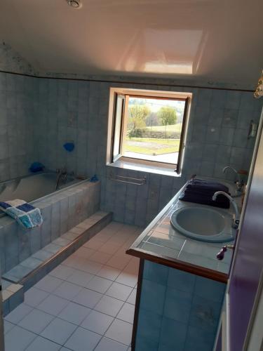ein Badezimmer mit einer Badewanne, einem Waschbecken und einer Badewanne in der Unterkunft L OLIVIER DE ST LEGER in Château