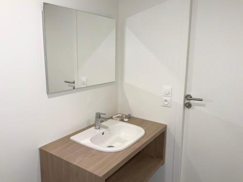 La salle de bains est pourvue d'un lavabo et d'un miroir. dans l'établissement Résidence du Môle, à Annemasse