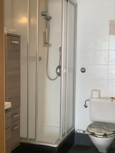 La salle de bains est pourvue d'une douche et de toilettes blanches. dans l'établissement Birkenhof, à Leutasch