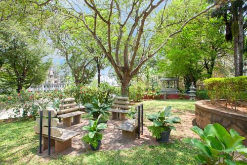 a group of benches in a park with a tree at StayVista at Ananta - Breakfast Included & Basketball Court in Bengaluru