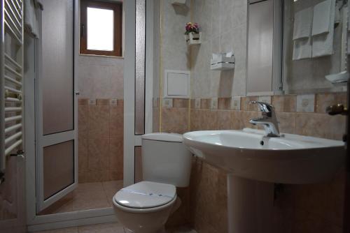 a bathroom with a toilet and a sink and a shower at Family Hotel at Renaissance Square in Plovdiv