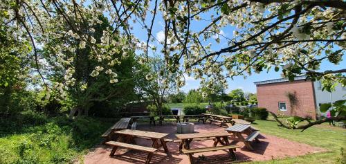 a picnic table and benches in a park at Jugendherberge Fehmarn in Fehmarn