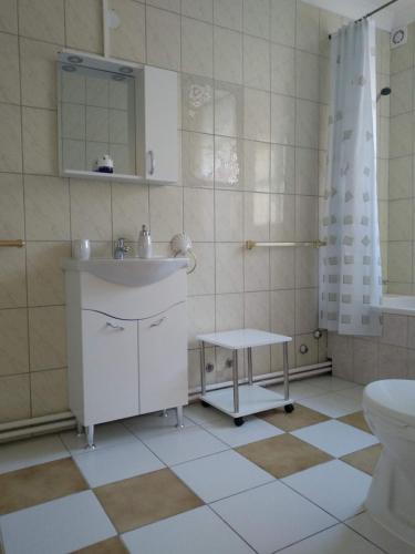 uma casa de banho com um lavatório e um WC em Füge Vendégház em Miskolctapolca