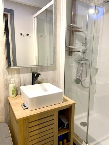 Koupelna v ubytování Appartement charmant à Sarzeau avec vue sur la mer, 55 m²