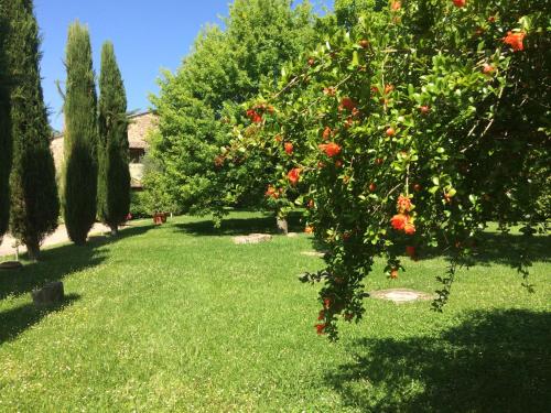 a garden with a bunch of trees and grass at Relais Della Rovere in Colle Val D'Elsa