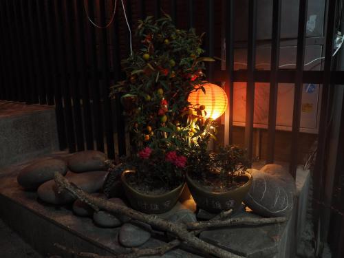 a group of potted plants on a ledge with a lamp at Shexia Liyu Hot Spring in Checheng