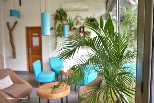 a living room with blue chairs and a plant at L'imprévu in Cotonou