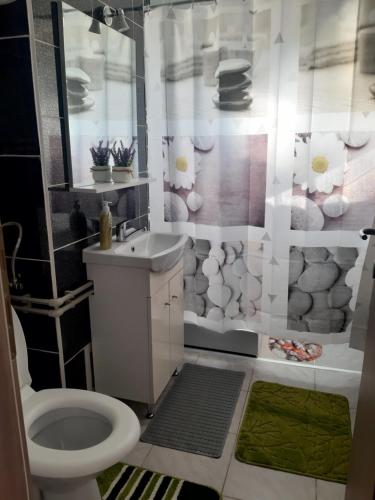 uma casa de banho com um WC, um lavatório e um chuveiro em Apartament Laura em Orşova