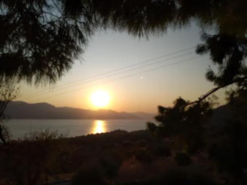 Φυσικό τοπίο κοντά σε αυτός ο ξενώνας