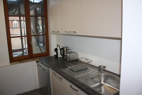 - un comptoir de cuisine avec évier dans l'établissement Les Appartements Rue des Veaux - Quartier Cathédrale, à Strasbourg