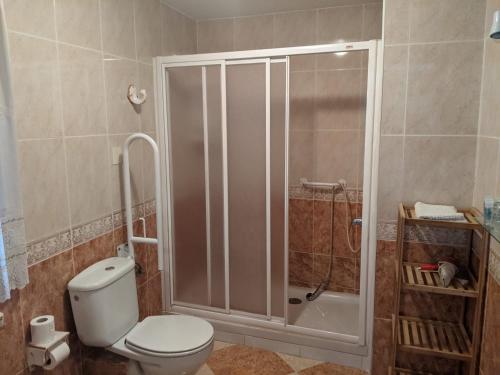 a bathroom with a shower and a toilet in it at Hostal Moraima in Capileira
