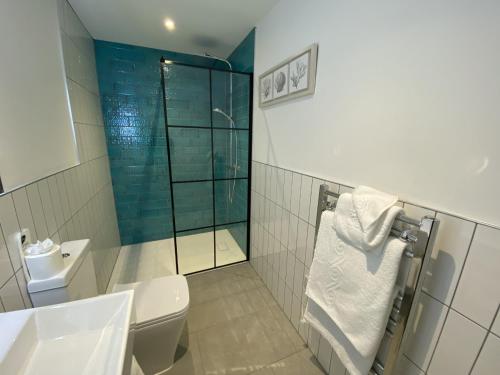 a bathroom with a toilet and a sink and a shower at Berry Head Hotel in Brixham
