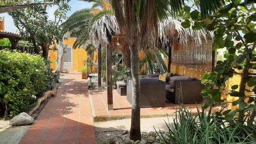 a patio with a palm tree and a couch at B&B Casa Trankilo in Kralendijk