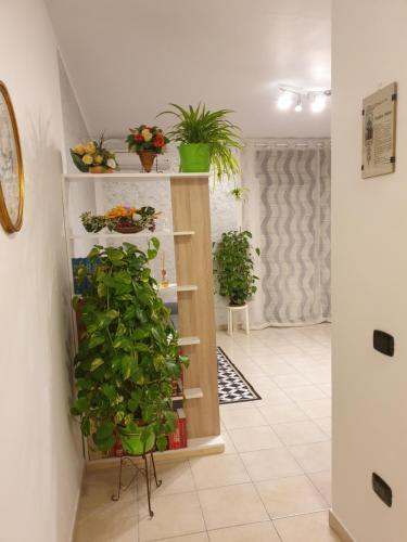 a room with a shelf with potted plants on it at Casa di Anna in Todi