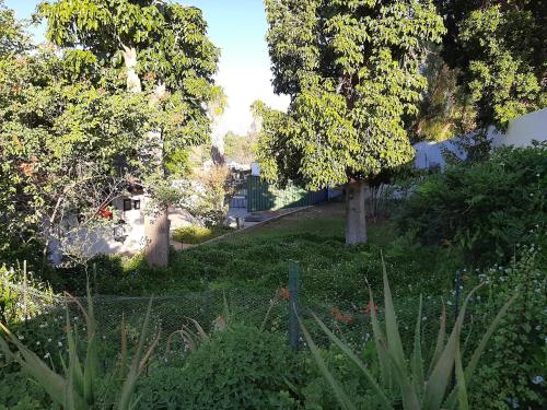 Ein Garten an der Unterkunft Rosenhof Nut Hut Cottage