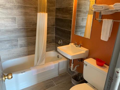 a bathroom with a sink and a tub and a toilet at Stadium View Inn in Hamburg
