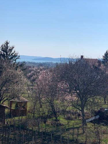 a view of a field with trees and a fence at Haus Kristina in Csopak