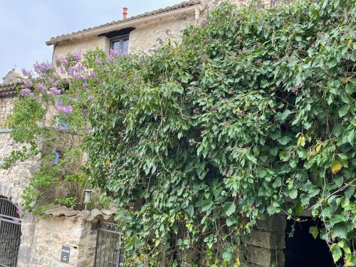 Gallery image of Paradis de Provence, Maison Orange in Verfeuil