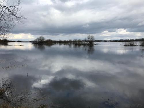 a large body of water with clouds in the water at Sieburczynianka in Wizna