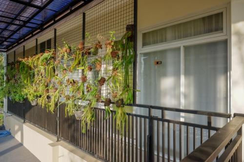a balcony with plants in pots on the wall at RedDoorz Syariah at Omah Sawah in Balong