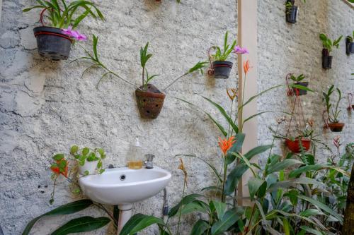 a bathroom with a sink and potted plants on a wall at RedDoorz Syariah at Omah Sawah in Balong