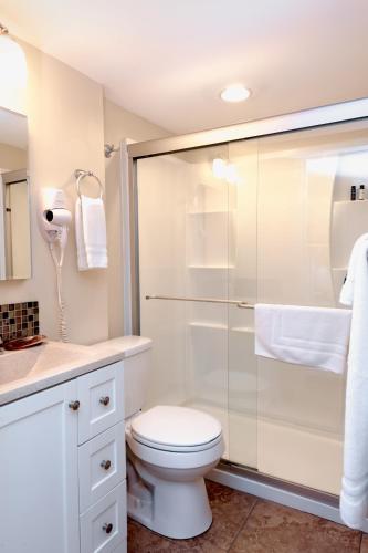 a bathroom with a toilet and a shower at Cedar Cove Resort & Cottages in Holmes Beach