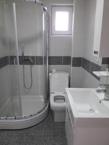 a bathroom with a shower and a toilet and a sink at Apartman Šarm Srebrno jezero in Veliko Gradište