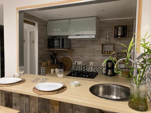 uma cozinha com um lavatório e um balcão com copos de vinho em La Salamandre de l Olivier - le Mimosa em Aubignosc