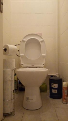 uma casa de banho com um WC com um rolo de papel higiénico em chambre lits jumeaux em Chevilly-Larue