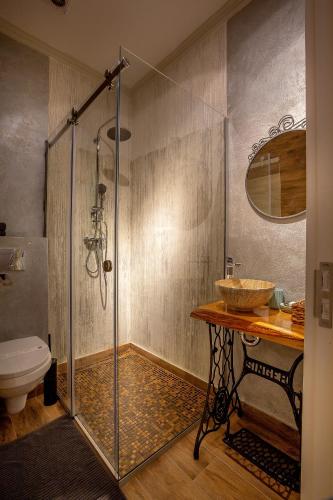 a bathroom with a shower and a toilet and a sink at CASA JOSEPH HAYDN in Sighişoara