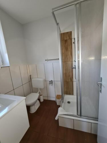 ein weißes Bad mit einer Dusche und einem WC in der Unterkunft Vita Gasthof in Rastenfeld