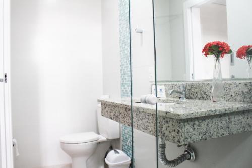 a bathroom with a sink and a toilet and a mirror at CEIC Pousada e Eventos in Nova Trento