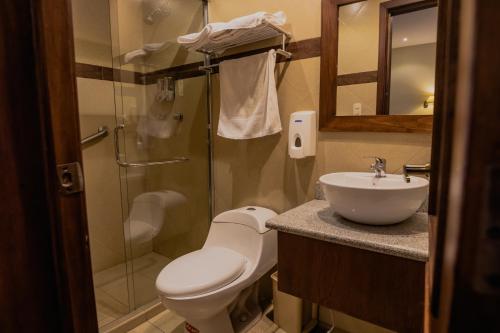 y baño con aseo, lavabo y ducha. en Suites & Hotel El Quijote en Cuenca