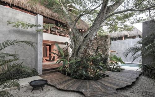 a large tree in front of a large building at Hotel Casa Hormiga in Bacalar