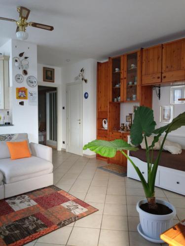 ein Wohnzimmer mit einer weißen Couch und einer Pflanze in der Unterkunft VILLINO BRUNETTO azienda agrituristica in Camogli