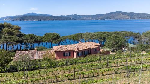 Villaflair - Villa Morcone with private beach