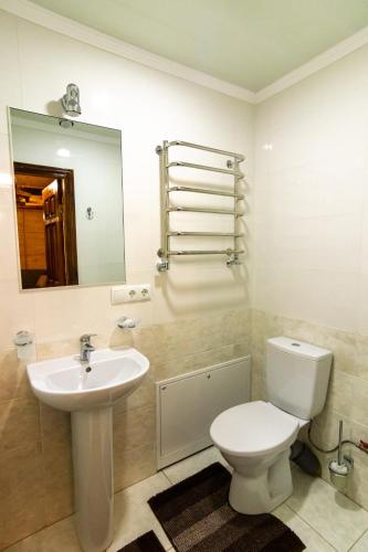 a bathroom with a toilet and a sink and a mirror at Гостинна садиба Пілігрім in Surzhentsy