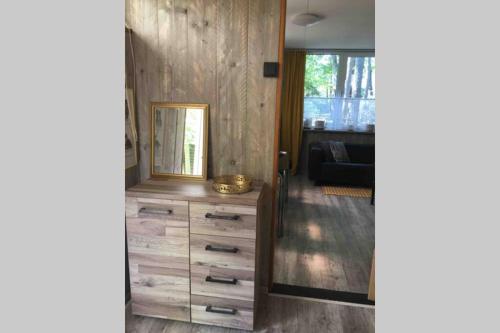 a room with a dresser with a mirror on it at Ruime Chalet i/h bos met grote tuin en zwembad in Enschede