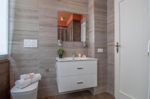 a bathroom with a sink and a toilet and a mirror at Galvani Apartments in Terni